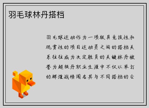 羽毛球林丹搭档